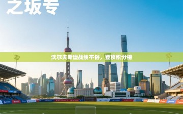 沃尔夫斯堡战绩不俗，登顶积分榜